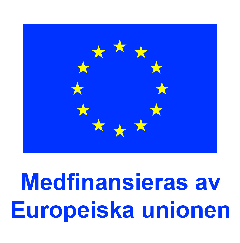 EU Logotyp